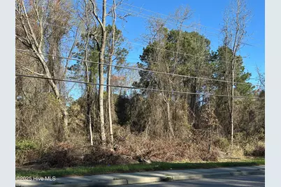 1507 N Berkeley Boulevard, Goldsboro, NC 27534 - Photo 1