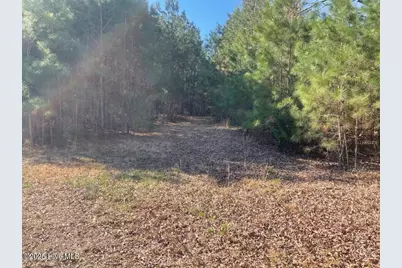 5635 McKendree Church Road, Tarboro, NC 27886 - Photo 28