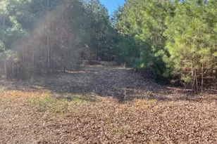 5635 McKendree Church Rd, Tarboro, NC 27886 - Photo 28