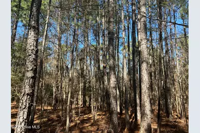 Tbd John Owen Road, White Oak, NC 28399 - Photo 18