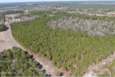 Tbd John Owen Road, White Oak, NC 28399 - Photo 10