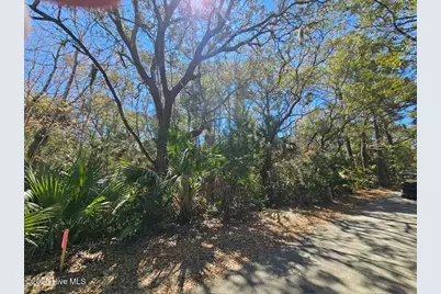 32 Dowitcher Trail, Bald Head Island, NC 28461 - Photo 2