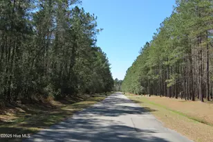 486 Point of View Drive, Merritt, NC 28556 - Photo 108