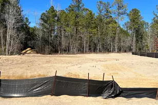 2907 W Timber Crest Ln NE, Leland, NC 28451 - Photo 1