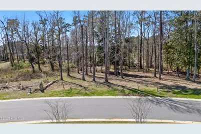 228 Preservation Point Avenue, Wilmington, NC 28401 - Photo 4