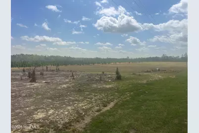 1711 Currie Mill Road, Jackson Springs, NC 27281 - Photo 2