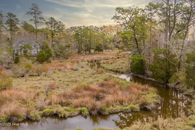 225 Winding Creek Drive, Oriental, NC 28571 - Photo 6