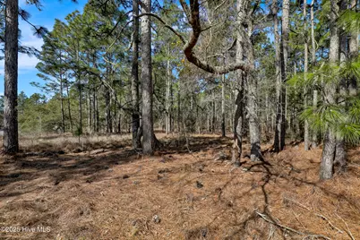 [Address not provided], Hubert, NC 28539 - Photo 12