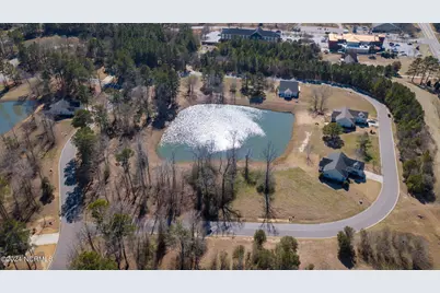 182 Cherry Laurel Drive, Wallace, NC 28466 - Photo 22