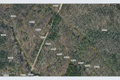 Lot 4 Leaman Road, Robbins, NC 27325 - Photo 4