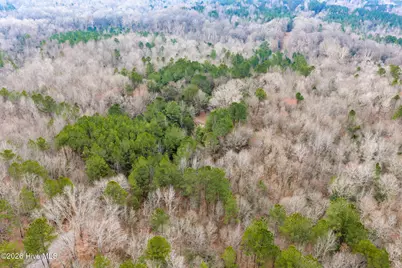 Lot 4 Leaman Road, Robbins, NC 27325 - Photo 2