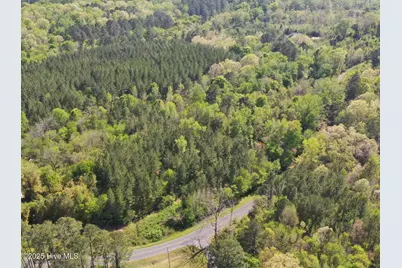 Tbd Nicholson Road, Rockingham, NC 28379 - Photo 2