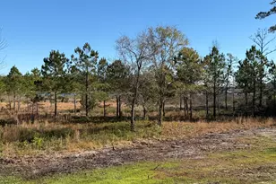 302 E Ivybridge Dr, Hubert, NC 28539 - Photo 32