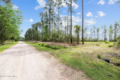 3411 Upper Neck Road, Bayboro, NC 28515 - Photo 4