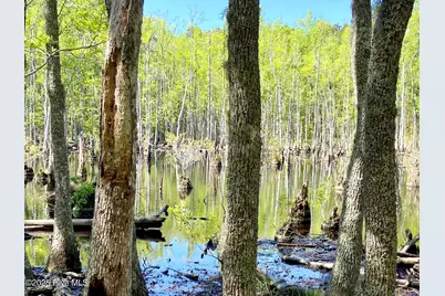 Lot 2 Berrys Creek Road, Beaufort, NC 28516 - Photo 4