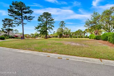 1007 Natural Springs Way, Leland, NC 28451 - Photo 12