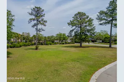 1007 Natural Springs Way, Leland, NC 28451 - Photo 26