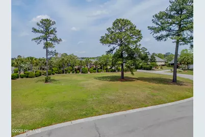 1007 Natural Springs Way, Leland, NC 28451 - Photo 4