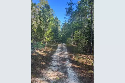 Tbd Wood Creek Drive, Hubert, NC 28539 - Photo 6