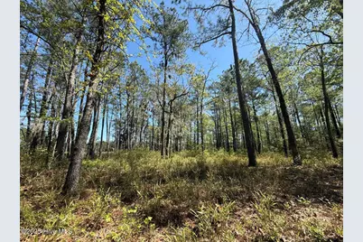 Lot 18 Davis Lane, Belhaven, NC 27810 - Photo 14