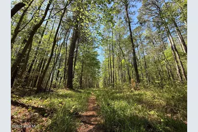 Lot 5 Mixon Creek Drive, Bath, NC 27808 - Photo 16