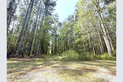 Lot 5 Mixon Creek Drive, Bath, NC 27808 - Photo 14