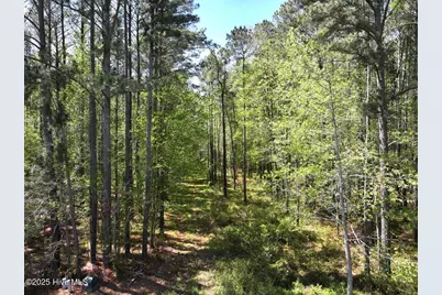 Lot 5 Mixon Creek Drive, Bath, NC 27808 - Photo 10