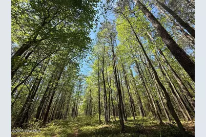 Lot 5 Mixon Creek Drive, Bath, NC 27808 - Photo 12