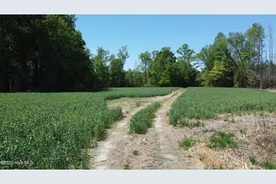 Off Speights Chapel Road, Whitakers, NC 27891 - Photo 28