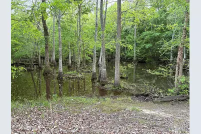 Off Speights Chapel Road, Whitakers, NC 27891 - Photo 40