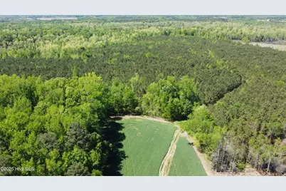 Off Speights Chapel Road, Whitakers, NC 27891 - Photo 2