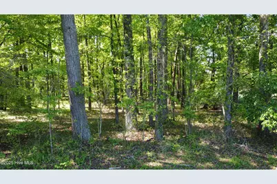 Off Speights Chapel Road, Whitakers, NC 27891 - Photo 32
