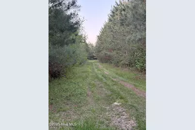 Off Speights Chapel Road, Whitakers, NC 27891 - Photo 52