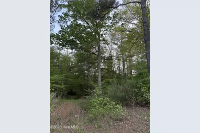 Off Speights Chapel Road, Whitakers, NC 27891 - Photo 50