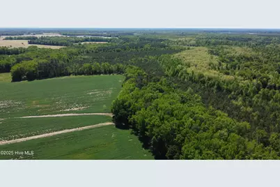 Off Speights Chapel Road, Whitakers, NC 27891 - Photo 24