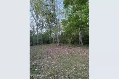 Off Speights Chapel Road, Whitakers, NC 27891 - Photo 44