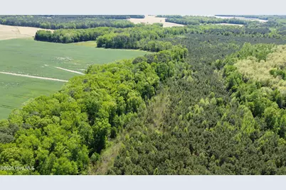 Off Speights Chapel Road, Whitakers, NC 27891 - Photo 22