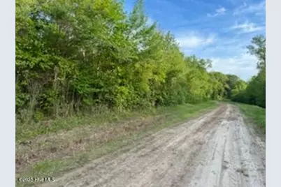 Lot C South Road, South Mills, NC 27976 - Photo 1