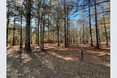 21 N Berne Landing Road, New Bern, NC 28560 - Photo 2