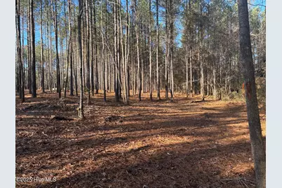 3227 Lee Landing Road, New Bern, NC 28560 - Photo 6