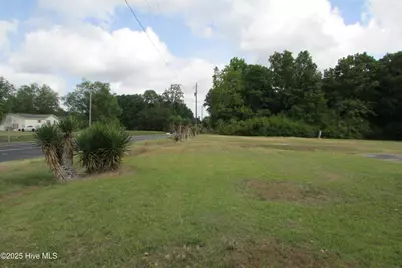 0 N Peavine North Road, Clinton, NC 28328 - Photo 1
