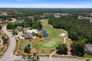4341 Fantail Dr, Leland, NC 28451 - Photo 70