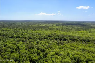 0 Riverview Drive, Burgaw, NC 28425 - Photo 16