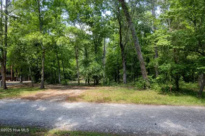0 Riverview Drive, Burgaw, NC 28425 - Photo 24