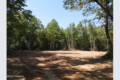 00 Alert Road, Warrenton, NC 27589 - Photo 2