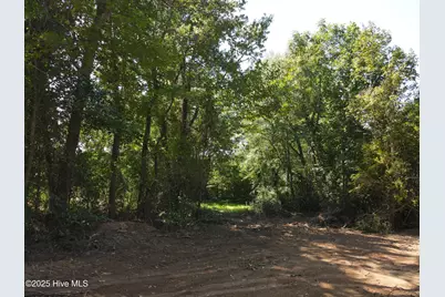 00 Alert Road, Warrenton, NC 27589 - Photo 4