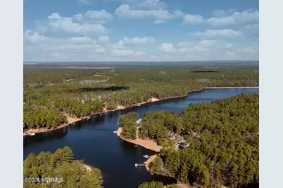 30080 Loblolly Court, Wagram, NC 28396 - Photo 48