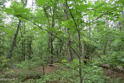 117 Shoreline Court, Oriental, NC 28571 - Photo 12