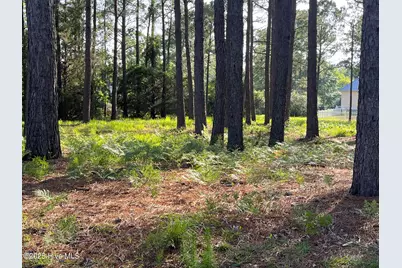 3518 Scupper Run SE, Southport, NC 28461 - Photo 2