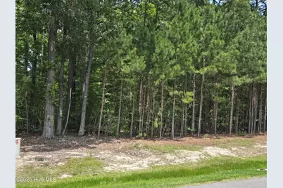 66 Standard Bred Way, Hertford, NC 27944 - Photo 1